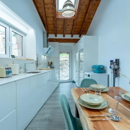 Apartment Spacious Renovated House In